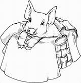 Pig Coloring Pages  ColoringBay sketch template