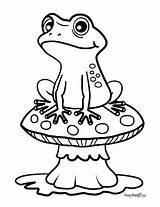 Free Frog Coloring Pages Printable Unleash Your Inner Artist sketch template