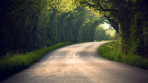 landscape, Road, Trees Wallpapers HD / Desktop and Mobile Backgrounds