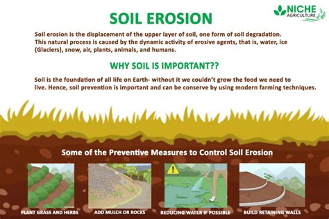 Soil Erosion - Definition and Conservation