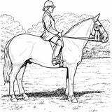 Horse Coloring Book Pages sketch template