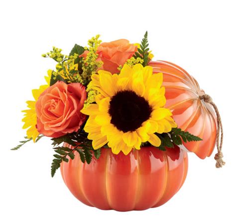 FTD® Harvest Traditions Pumpkin #FA31FA • Canada Flowers