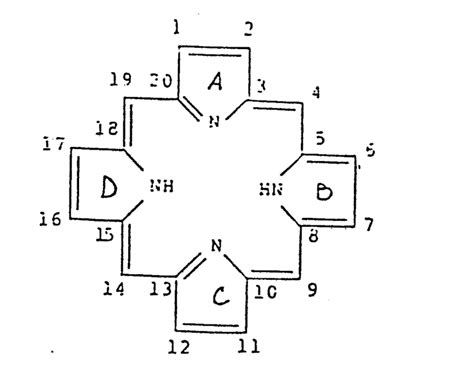 Tetrapyrrole - Alchetron, The Free Social Encyclopedia