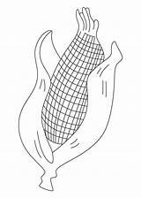 Coloring Corn Indian Printable Template Candy Preschool Colouring  sketch template