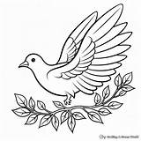 Peace Dove Coloring Pages  Free & Printable sketch template