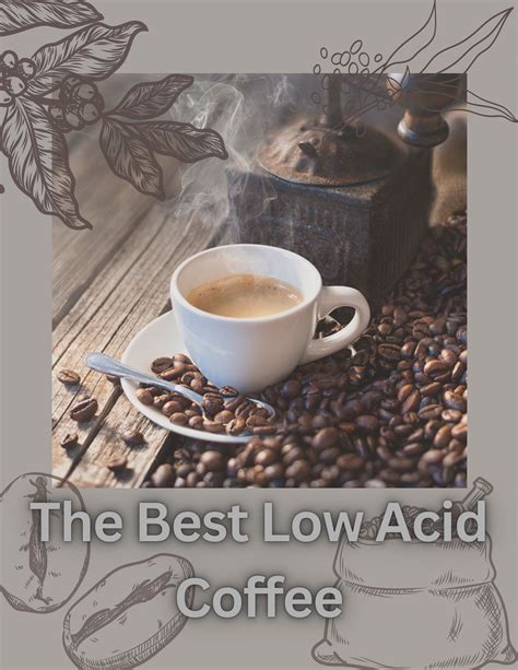 An Introduction to Low Acid Coffee: Tasting the Difference