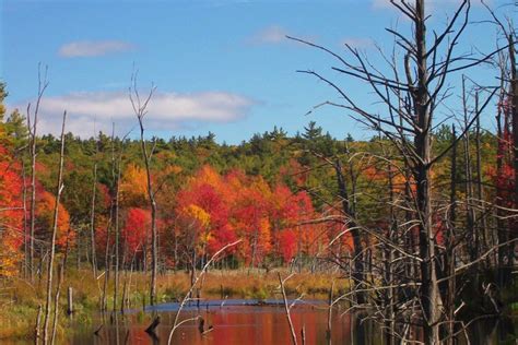 Prettiest Fall Foliage Villages in Massachusetts - New England Today