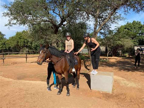 Go on a horse-back safari on the Hoedspruit Wildlife Estate - Ubuntu ...