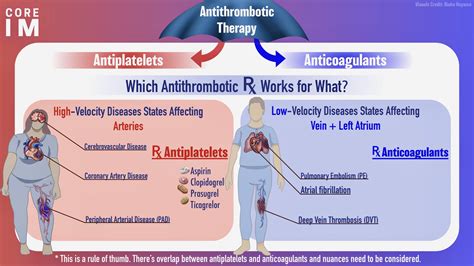 5 Pearls on Dual Antiplatelet Therapy (DAPT) | Core IM Podcast