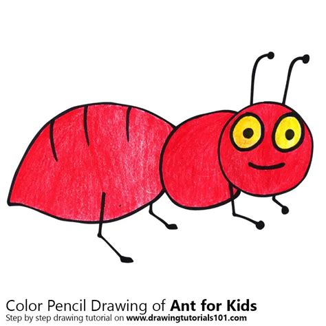 Ant Drawing For Kids