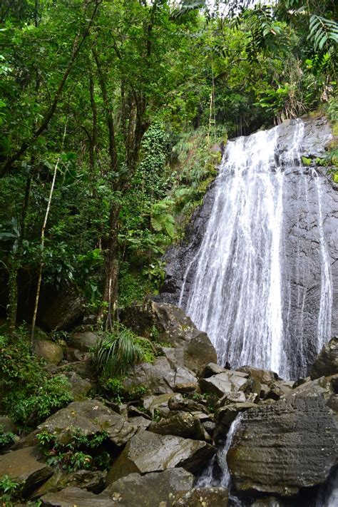 Puerto Rico: Visit a Rainforest Waterfall in El Yunque [La Coca] - Tiplr