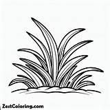 Plants World Grass Coloring Pages  Coloring For Kids – Smart Creative sketch template