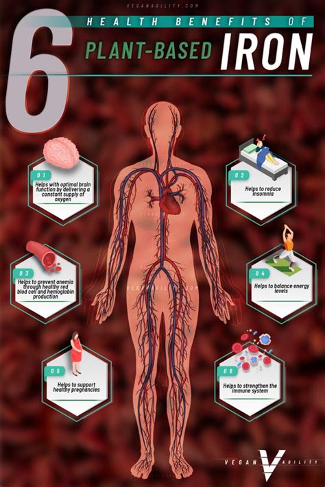 Vegan Iron Infographic - Vegan Agility