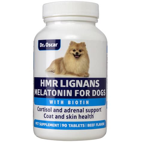 Best Biotin Supplement for Dogs: Top Picks for Healthy Skin and Coat - We Love All Animals