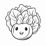 Lettuce Coloring Page sketch template