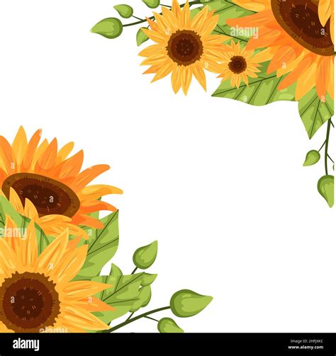 Hand drawn flat design sunflower border Vector illustration Stock Vector Image & Art - Alamy