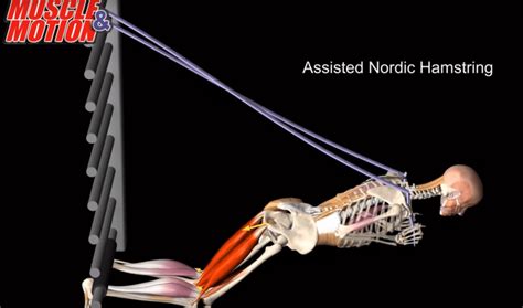 Best Hamstring Exercise - Nordic Hamstring Curl to Reduce Risk of Injury