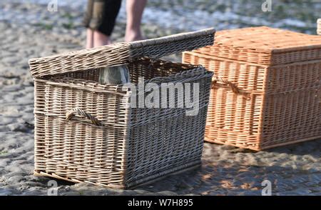 Juist, Germany. 06th Aug, 2019. Seal Freya looks at a beach of the East ...