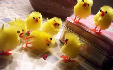 🔥 [50+] Easter Chick Wallpapers | WallpaperSafari