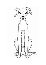 Italian Greyhound Coloring Page Free Printable Sketch sketch template