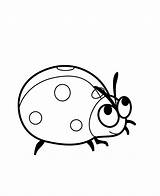Free Printable Ladybug Coloring Pages sketch template