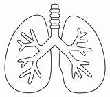 Lung Coloring Pages sketch template