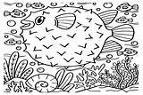 30  Puffer Coloring Pages Free Printable PDF & Online sketch template