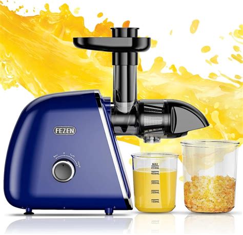 11 Best Juicers for Pineapple [2023] - Foods Guy