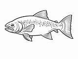 Simple Trout Coloring  Page sketch template