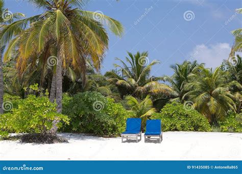 Tropical beach Maldives stock image. Image of sand, place - 91435085