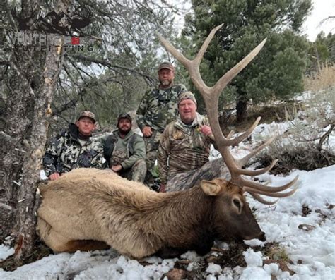 2022 Bull Elk Hunting Season - Part 2 - 6 Bulls in 5 days - Vantage Point Outfitting