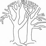 Tree Coloring Bare Pages Outline Clipart Leafless Drawing Trees Fall  sketch template