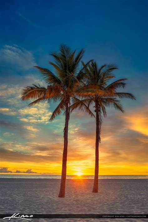 Two Coconut Palm Tree Sunrise at Beach