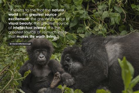 The 10 Best David Attenborough Quotes of All Time