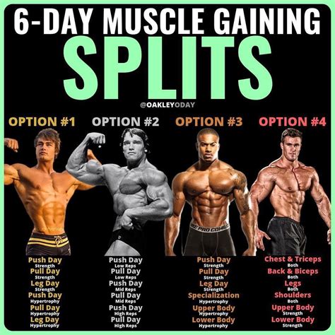 Push/Pull/Legs Split: 3-6 Day Weight Training Workout Schedule and Plan - GymGuider.com ...