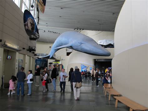 Long Beach Aquarium of the Pacific