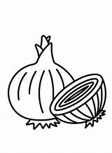 Onion Coloring Pages Printable For Free Download sketch template