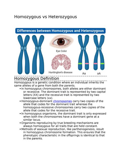 Homozygous vs Heterozygous - Homozygous vs Heterozygous Homozygous Definition Homozygous is a ...