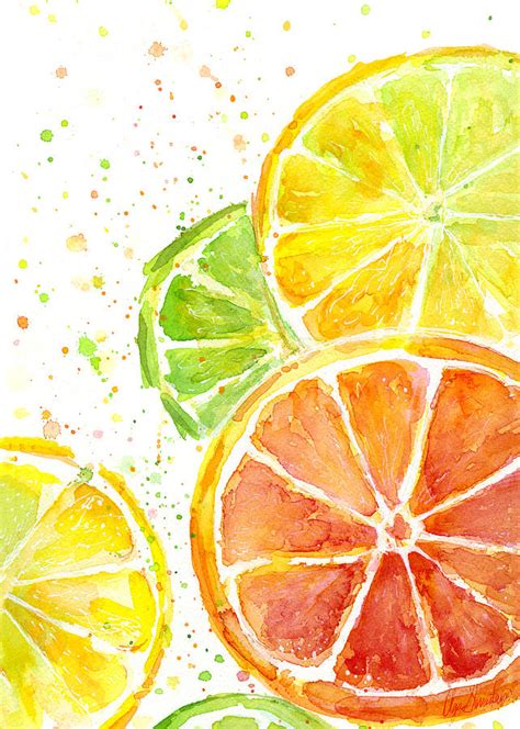 Citrus Fruit Watercolor Painting by Olga Shvartsur