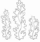 Seaweed Coloring Pages At GetColoringscom  Free Printable Colorings sketch template