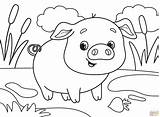 Adorable Pig Coloring Page  Free Printable Pages sketch template