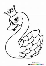 Swan Coloring Pages Trumpet Sketch Page sketch template
