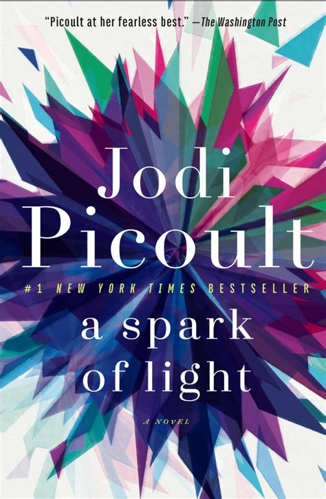 Cozy in Texas: A Spark of Light by Jodi Picoult