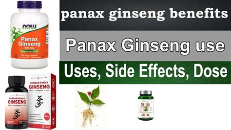 Panax Ginseng benefits for men, woman - Uses, Side Effects, Dosage, HINDI - URDU - YouTube