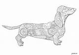Coloring Pages Dachshund sketch template