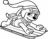 Everest Zuma Skye Paw Patrol Coloring Page Printable sketch template