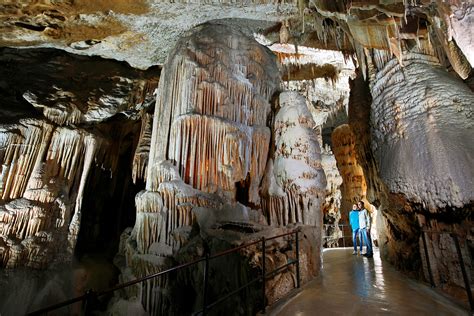 50 Breathtaking Postojna Cave Photos To Inspire You To Visit Slovenia