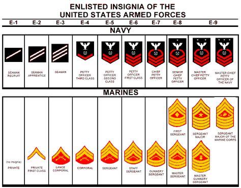us marine ranks | purim | Navy enlisted ranks, Us navy enlisted ranks, Military ranks