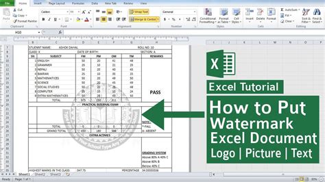 How To Insert Background Watermark in Ms Excel | Text Watermark | Logo Watermark | Picture ...