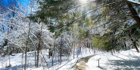 Winter Wellness Fair | Minnesota Landscape Arboretum / University of ...